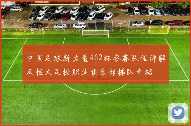 中国足球新力量462杯参赛队伍详解及恒大足校职业俱乐部梯队介绍