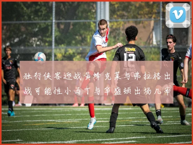 独行侠客迎战黄蜂克莱与弗拉格出战可能性小马丁与华盛顿出场几率高