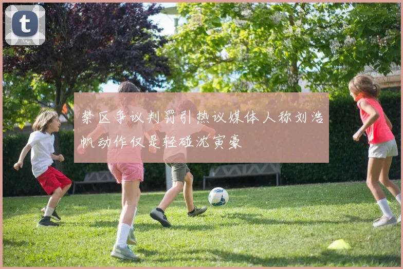 禁区争议判罚引热议媒体人称刘浩帆动作仅是轻碰沈寅豪